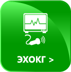 ЭХО-КГ